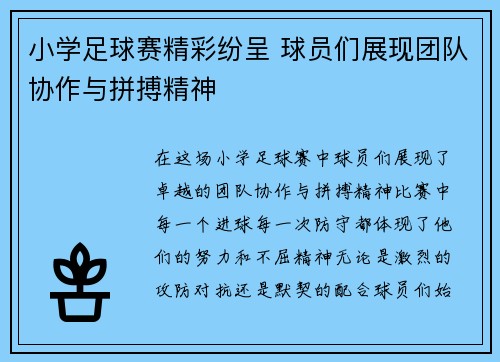 小学足球赛精彩纷呈 球员们展现团队协作与拼搏精神